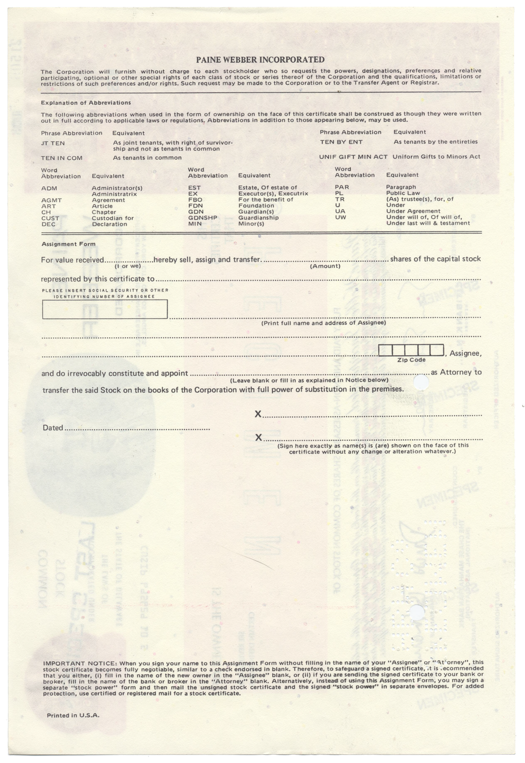 Paine, Webber Incorporated Specimen Stock Certificate